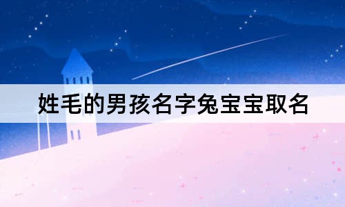 姓毛的男孩名字兔宝宝取名