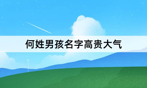 何姓男孩名字高贵大气