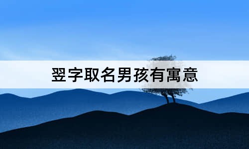 翌字取名男孩有寓意