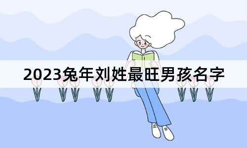 2023兔年刘姓最旺男孩名字