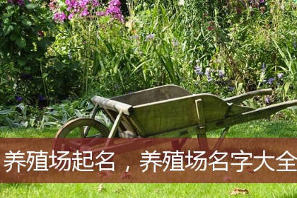 养殖场名字大全吉祥大气 给养猪场起个财源滚滚的名字
