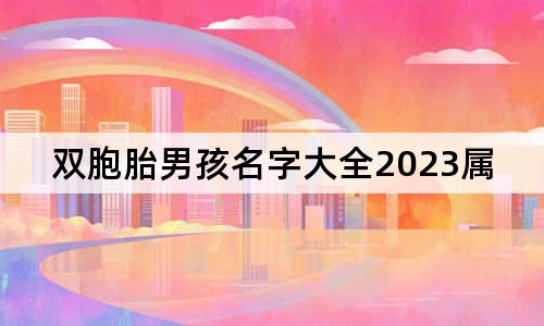 双胞胎男孩名字大全2023属兔