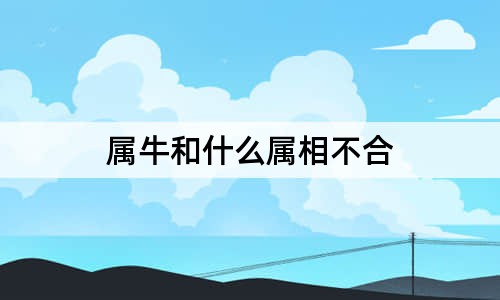 属牛和什么属相不合(属牛的绝配)