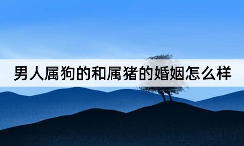 男人属狗的和属猪的婚姻怎么样(属牛和什么属相最配)