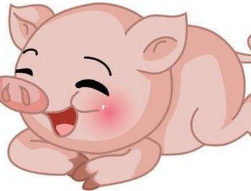 属猪的和什么属相最配婚姻 生肖猪的最佳婚配对象有哪些
