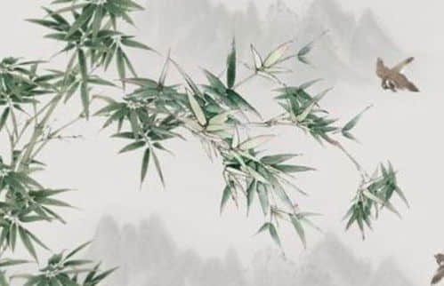 八字命理年柱日柱哪个更重要 年柱与日柱对命运的影响解析