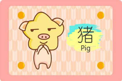 生肖猪和什么属相最配 属猪人最佳婚配对象分析