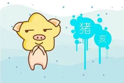 属猪女人婚姻运势如何 属猪女性婚姻幸福秘诀