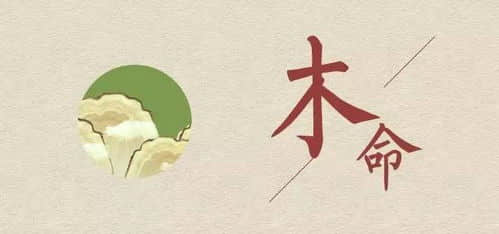 木命公司起名用什么属性的字 五行属木的公司名字怎么取