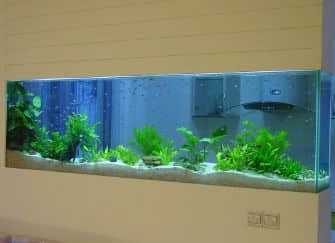 鱼缸招财摆放位置有什么讲究-鱼缸风水禁忌与财运提升方法