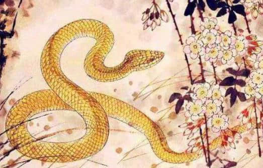 属蛇男生的性格特点解析 生肖蛇男性有哪些独特魅力