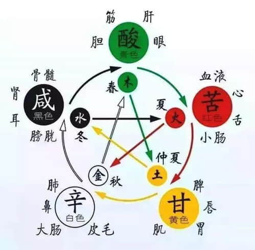 金命和木命相生还是相克 五行命理中金木关系的深层解析