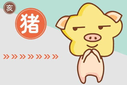 属猪女的婚姻运势如何解析 属猪女性格对婚姻有哪些影响