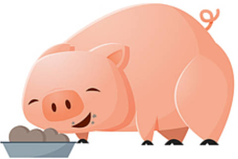 属猪的守护神是什么生肖 佩戴阿弥陀佛像有什么讲究