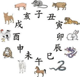 生肖牛最佳婚配属相有哪些 属牛人婚姻配对禁忌解析