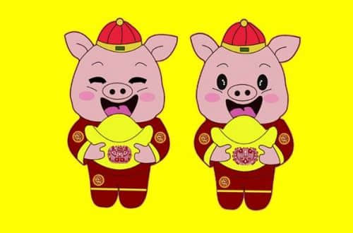 属兔2023年年龄对照表 属猪和属兔婚配指数解析