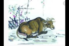 属牛的三合生肖有哪些 属牛的六个合属相是什么