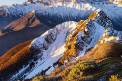 木命的字有哪些 五行属木的字大全及取名技巧