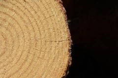 木命女和土命男婚姻合不合 五行婚配中木克土的影响与化解