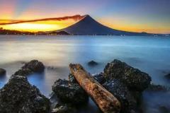 庚午辛巳丙申己亥女命八字分析 还有哪些因素影响个人命