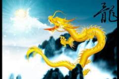 属龙男最佳婚配属相有哪些 生肖配对中属龙男性的姻缘分析