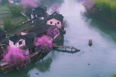 阳女土五局是什么样的命格 如何根据命格进行人生规划