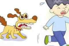 梦见被狗咬了是什么征兆 夏天梦到此梦有何不吉