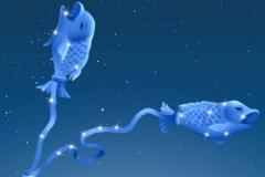 双鱼座和摩羯座合得来吗 能做闺蜜或蓝颜吗