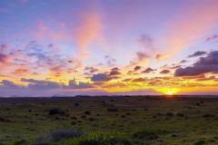 天乙贵人能破解孤辰寡宿吗 命理中化解孤独的神煞有哪些