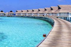 二婚会幸福的八字男命 如何通过风水提升婚姻运势