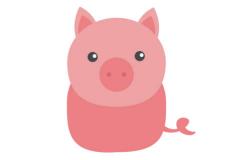 属猪男人一生命运如何 属猪男性性格特点和运势解析