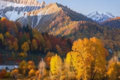 八字命理中土伤官如何化解 如何根据五行选择补救方法