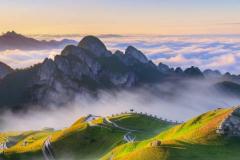 七杀格命局如何化解 伤官见官为什么是大凶