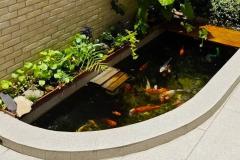 院子里左边挖小鱼池好不好 在庭院中挖个鱼池风水好不好