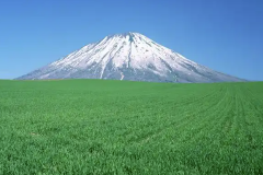 八字纯阴的男命与大人物的关系 八字纯阴一般人压不住吗