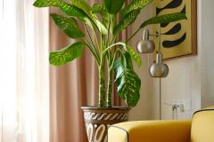 家里绿植如何摆放风水 大门口植物的最佳摆放位置