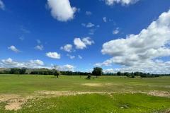 女八字身弱克夫命吗 身弱正官格女命为何要克夫