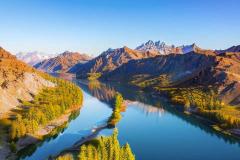 凌晨3点出生的人命运解析  寅时出生的人财运事业运势如何