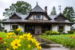 坐东北向西南的房子装修技巧 房屋朝向与空间布局的实用指南