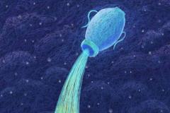 水瓶座最富的三个属相 最穷的三个属相是什么