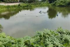 农村风水房屋左边有鱼塘好不好 鱼塘距离房屋多远才合适