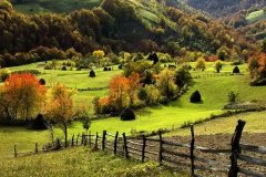 纯阴八字女人财运怎么样