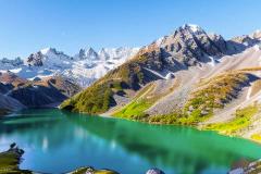 女命八字有正官伤官 如何根据伤官调整命运