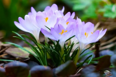 八字先生说我命不好 八字不好的人一定命不好吗