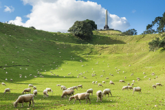 苦吃的太多可以改命吗 民间改运气最快的方法