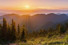 八字包含哪些信息 名字是否属于八字命理范畴