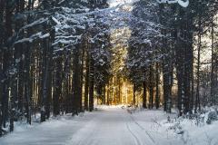 男命伏吟对婚姻影响大吗  伏吟在八字中的化解方法有哪些