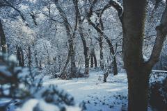 属龙男孩名字怎么取最吉利 龙年男宝宝取名技巧与禁忌