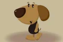 属狗幸运色提升财运的秘诀 属狗女性招财颜色搭配指南