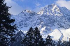 癸水男最吸引哪种女人 2025年癸水男的桃花运势如何